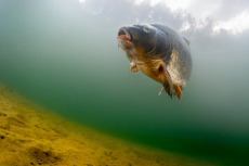 Потребительское кредитование в 2025–2026 годах: из стремнины в плёс