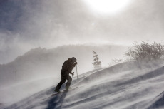 Рынок МФО по итогам 2025 года и прогноз на 2026-й: кроссфит на выживание